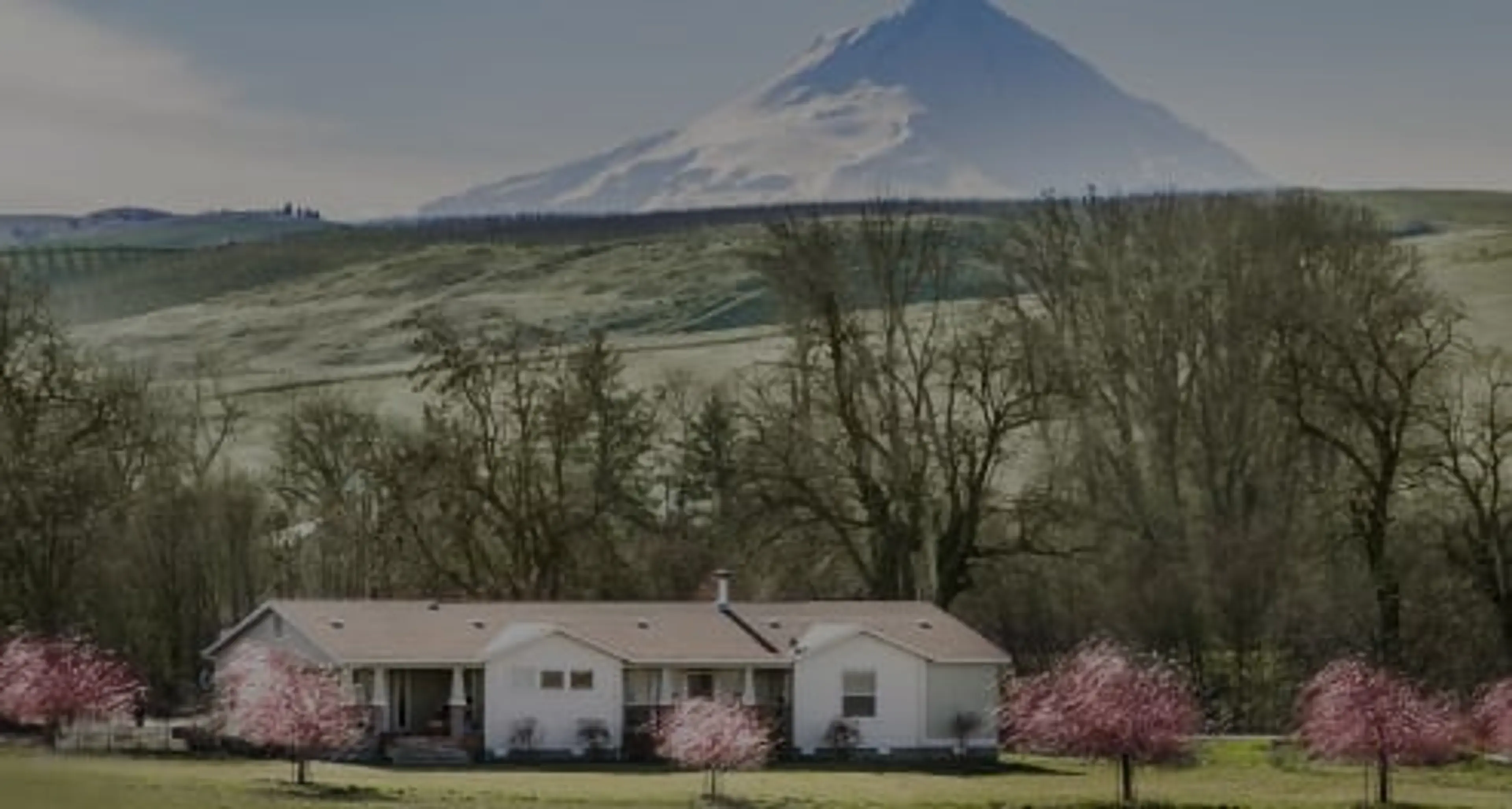 Contact Us Background Image